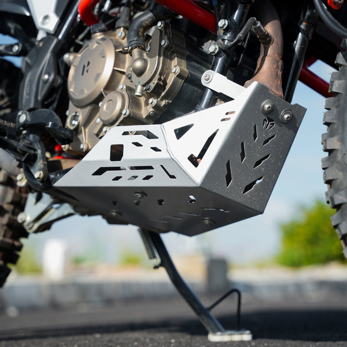 ENGINE GUARD SILVER FOR XPULSE 210