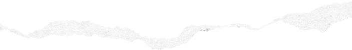 Section bottom image